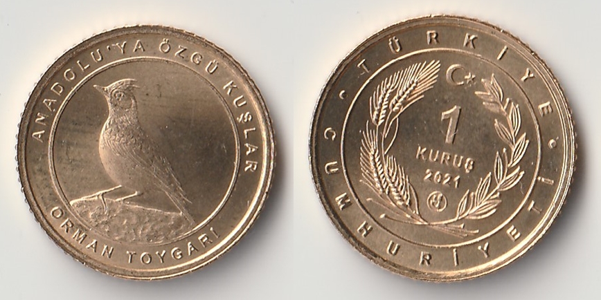 2021 turkey 1 kurus orman.jpg
