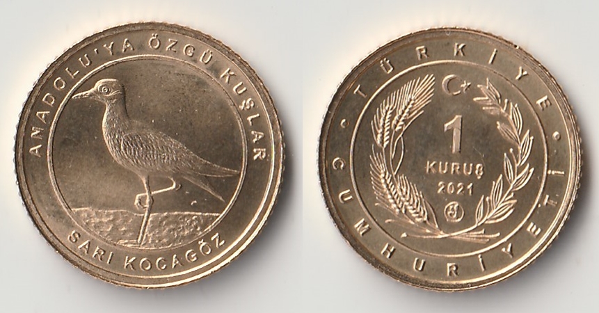 2021 turkey 1 kurus sari.jpg