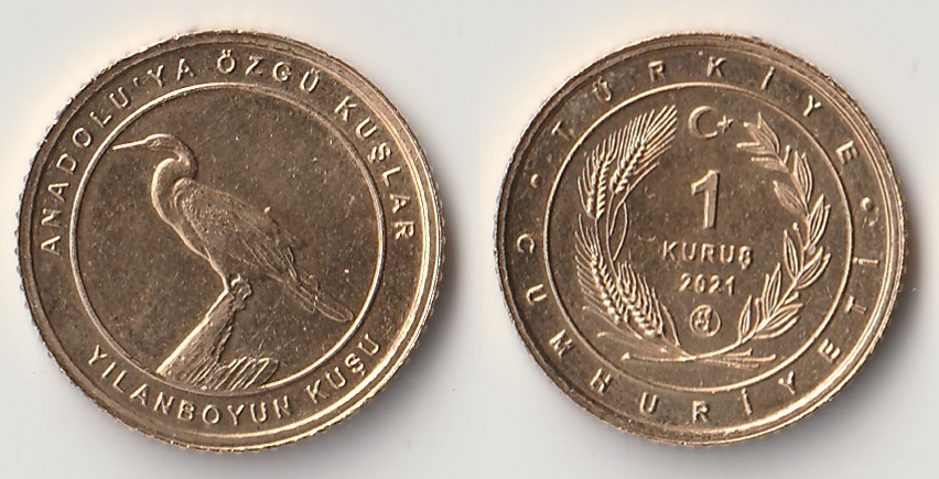 2021 turkey 1 kurus yilanboyun.jpg