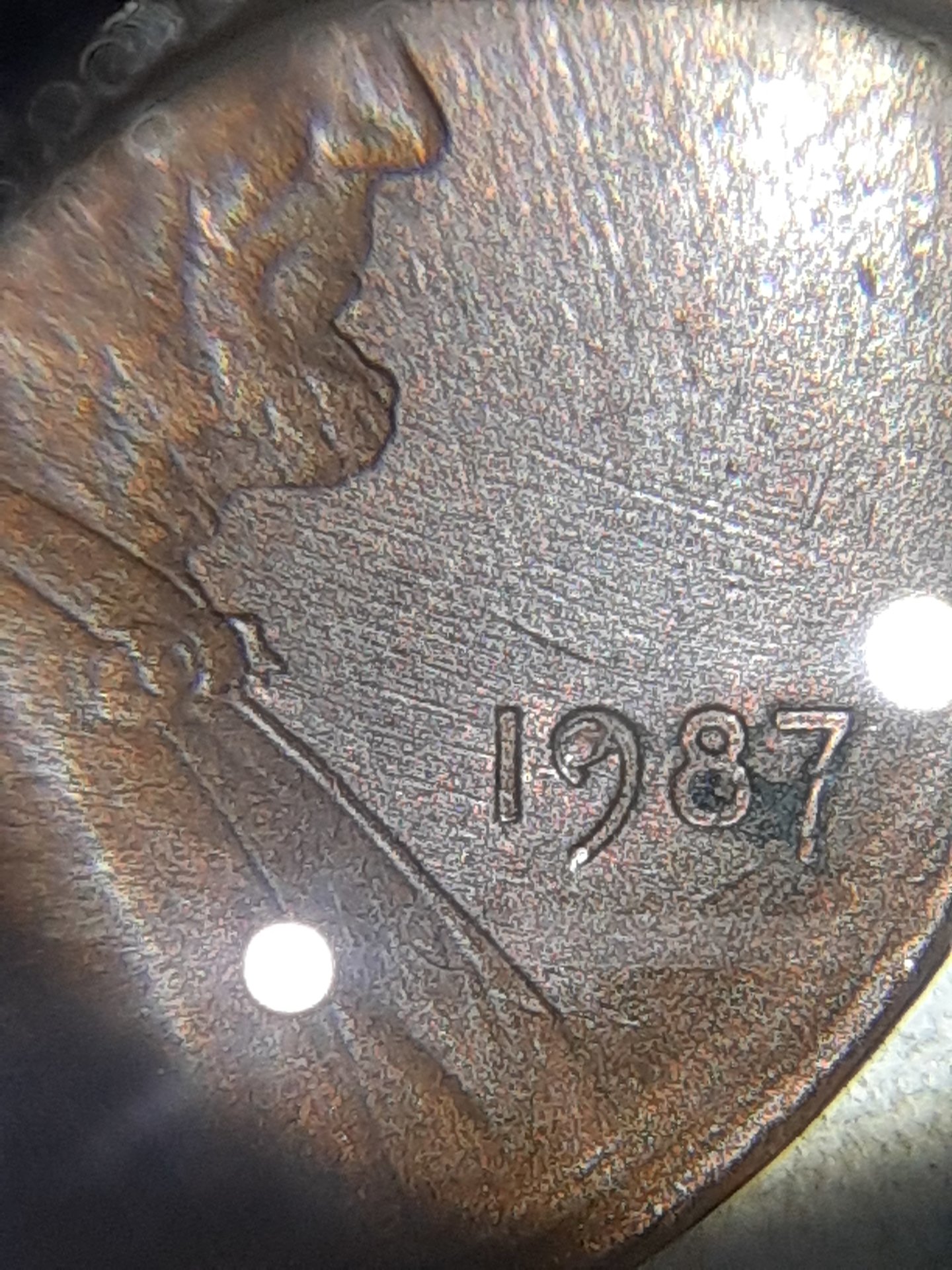 20210102_183301.jpg