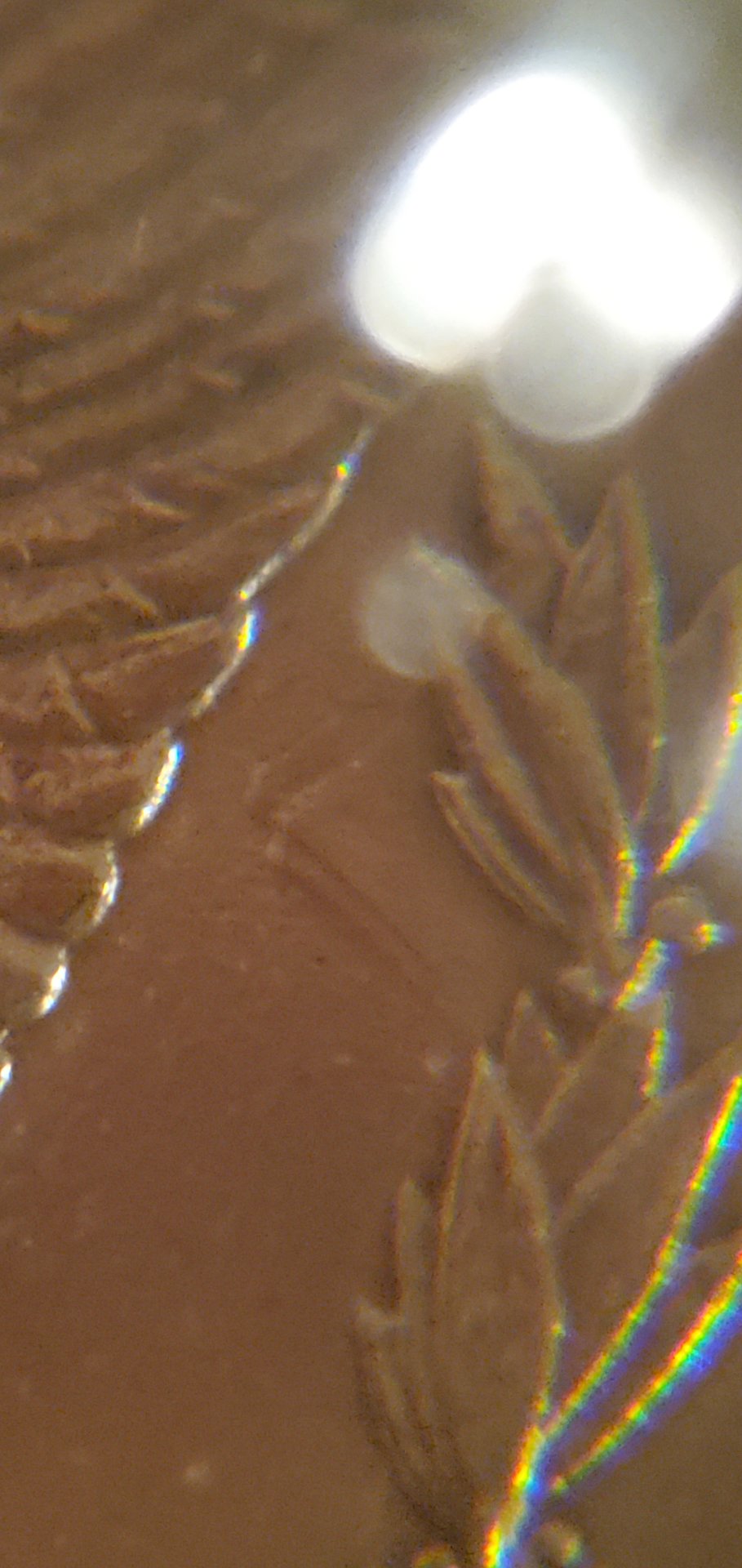 20210105_222359.jpg