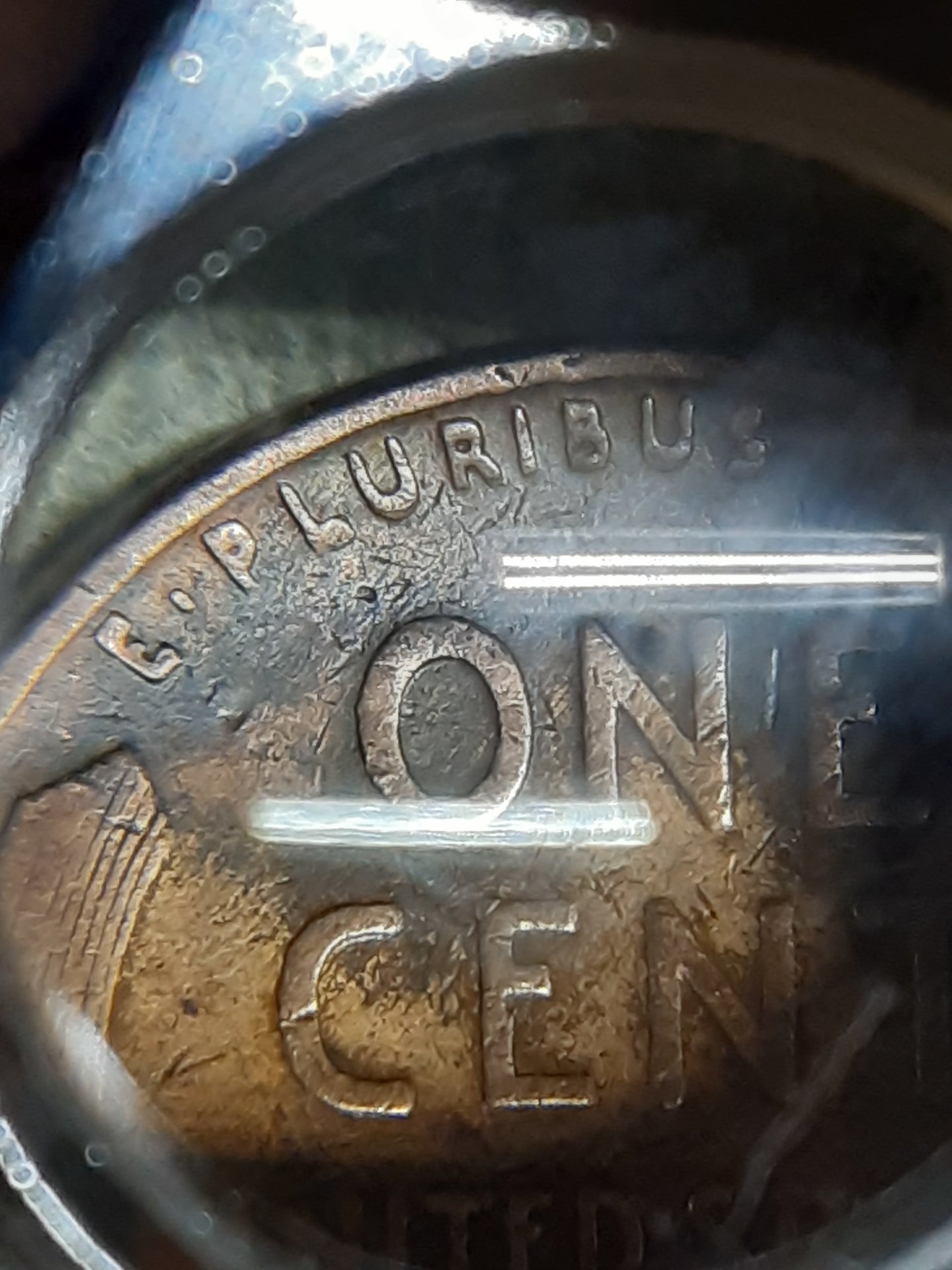 20210109_170357.jpg