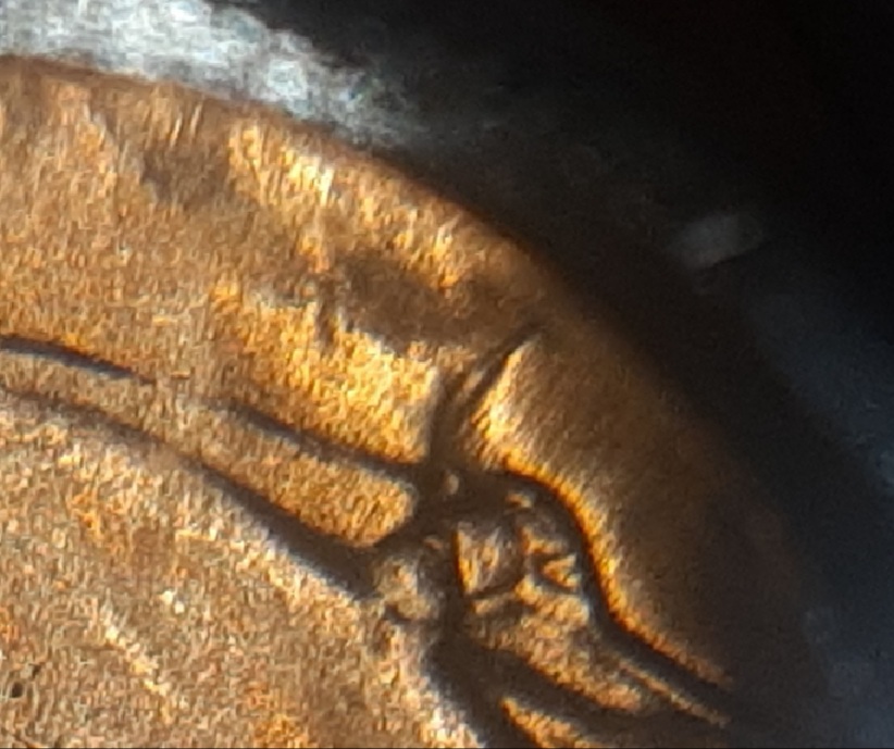 20210114_142951.jpg