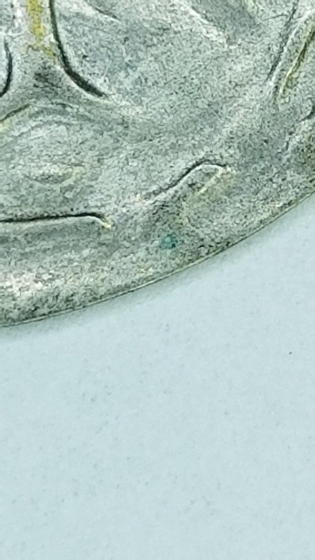 20210118_173059.jpg