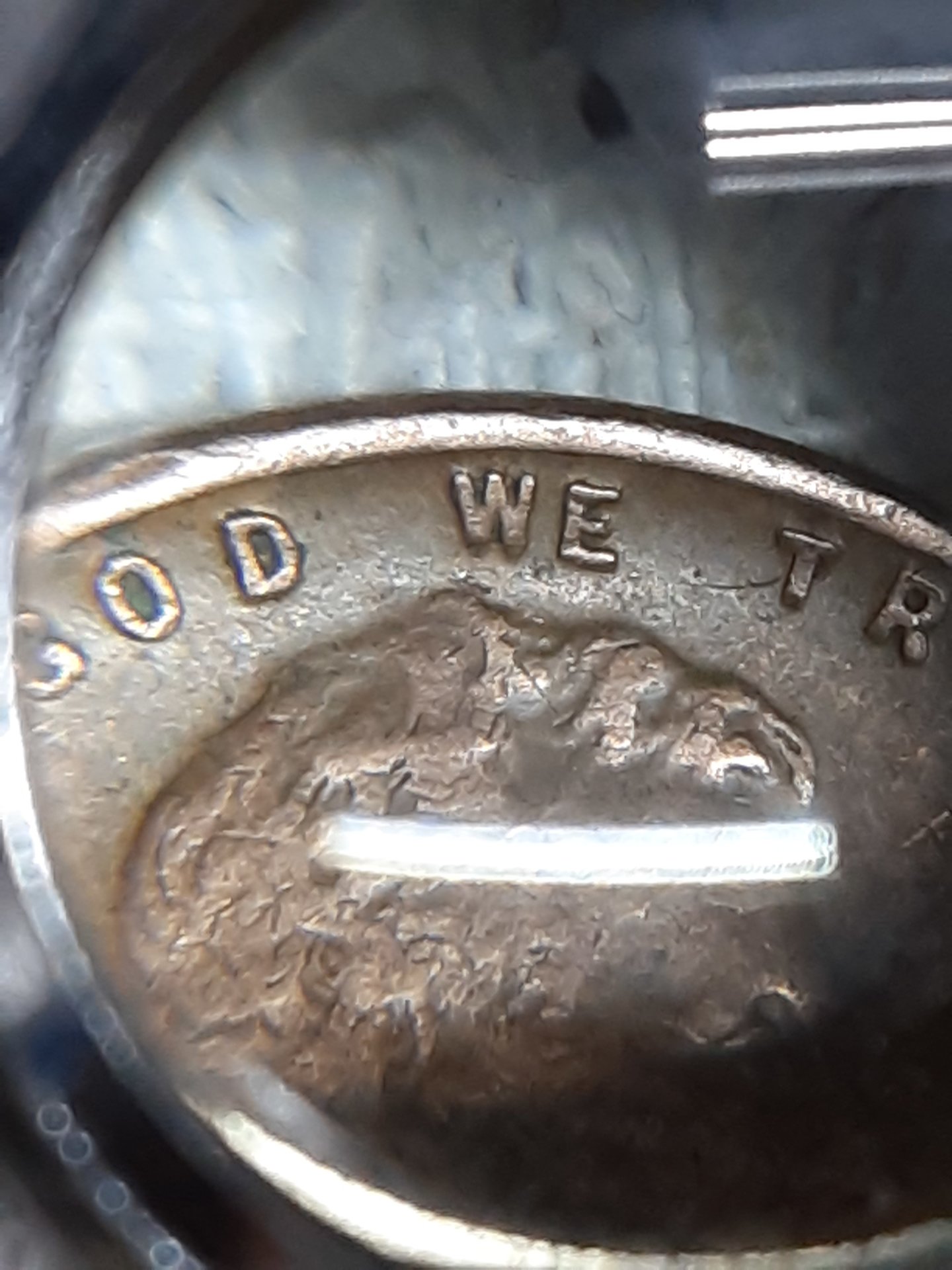 20210120_091845.jpg