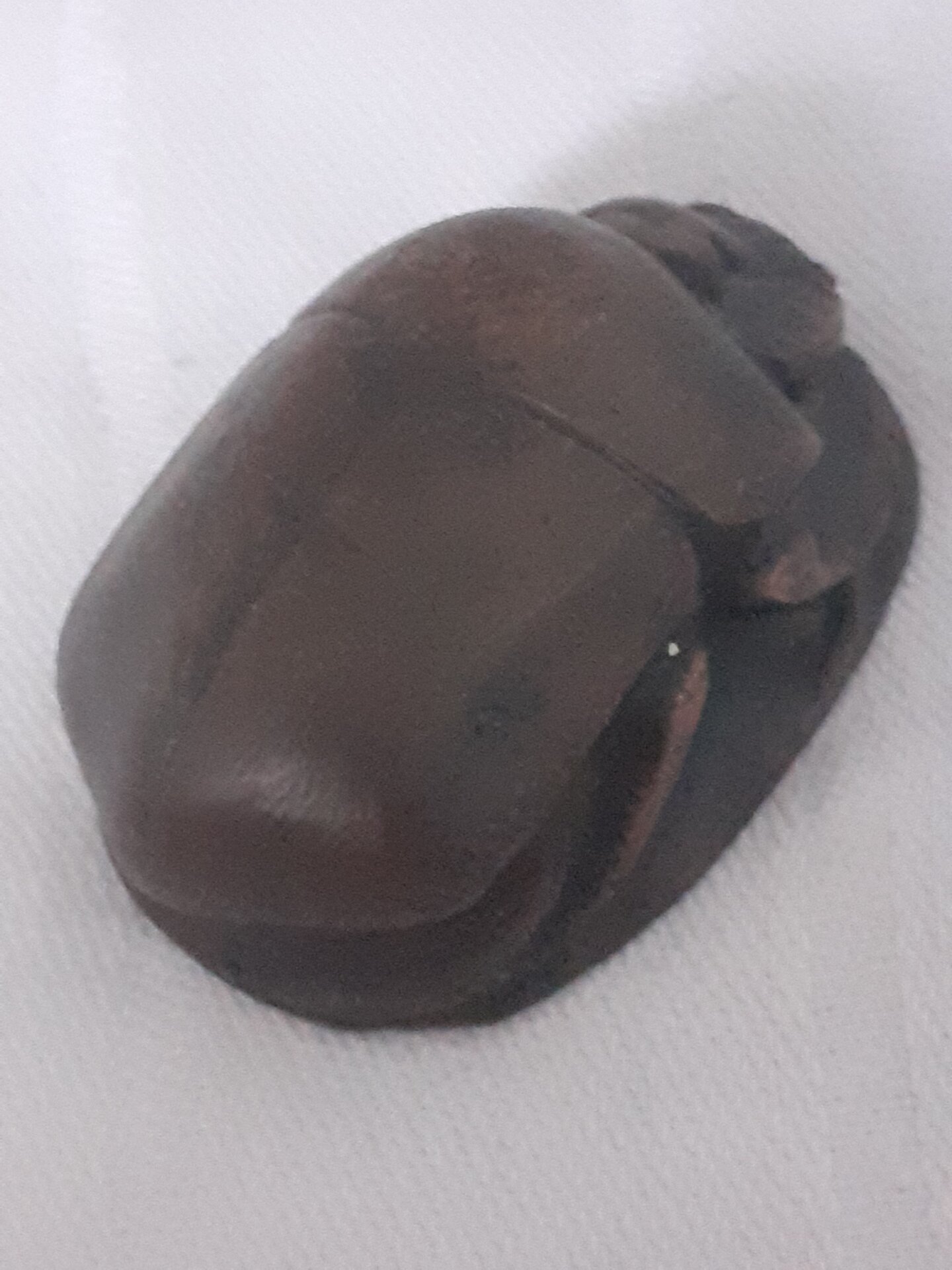 20210128_105106.jpg