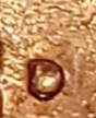 20210203_222451.jpg