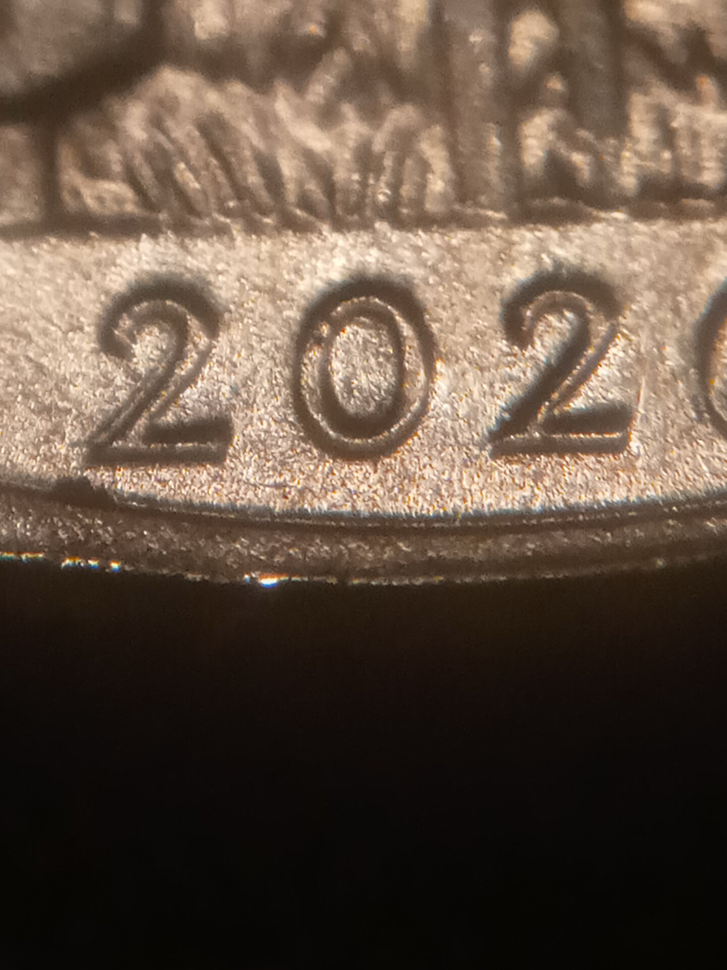 20210216_005324.jpg