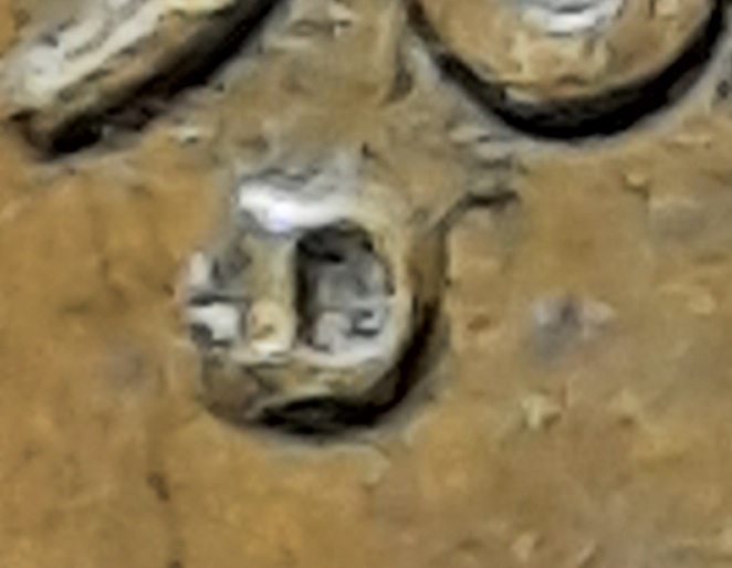 20210216_203426.jpg