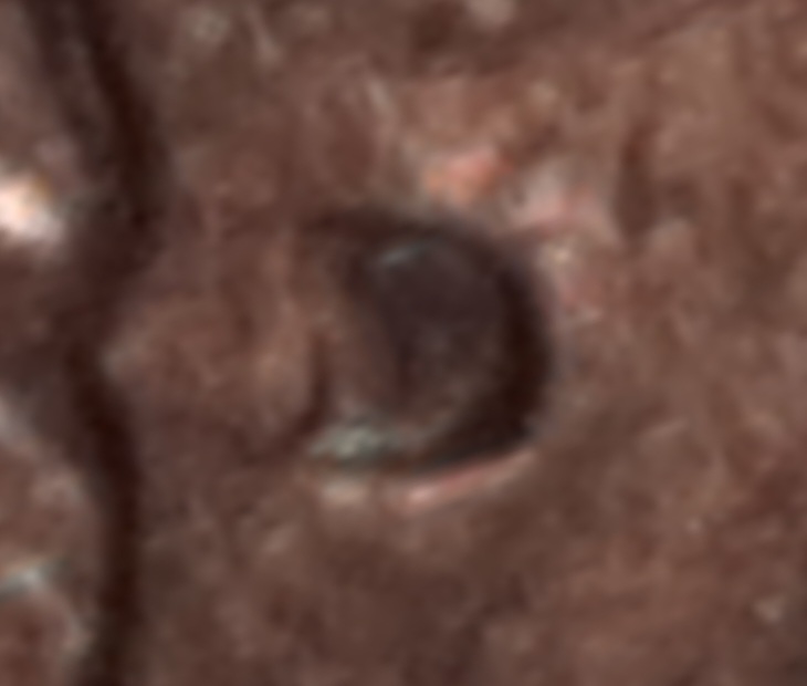20210217_010013.jpg