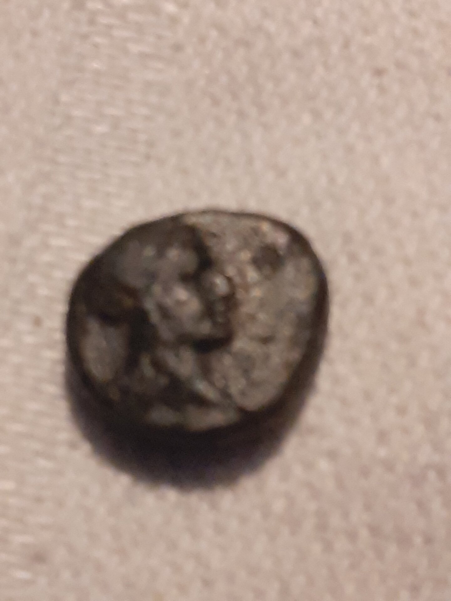 20210224_201652.jpg