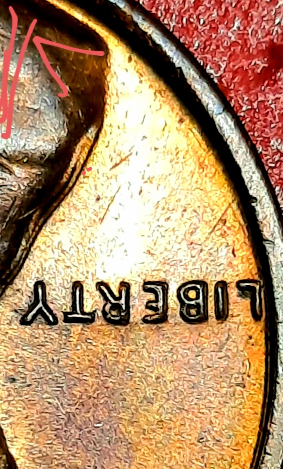 20210228_085350.jpg