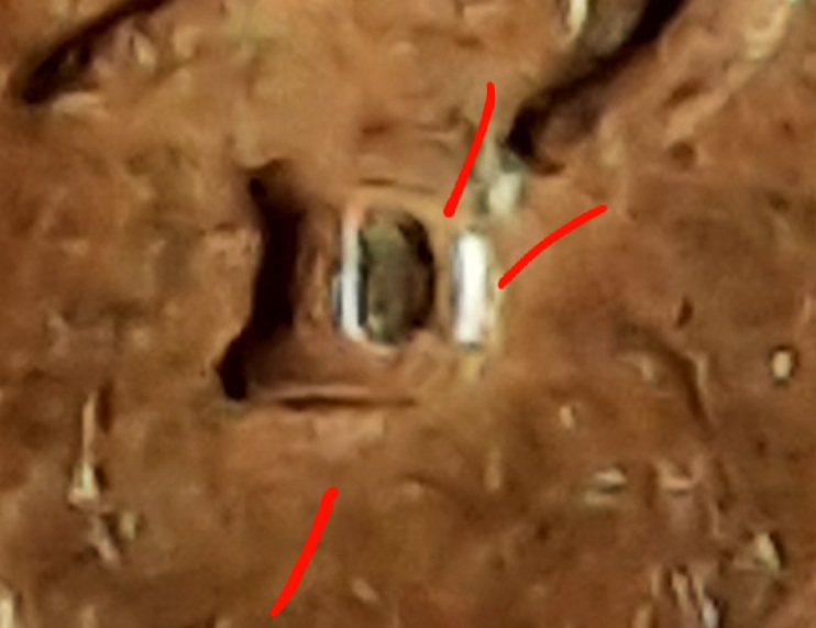 20210303_075701.jpg
