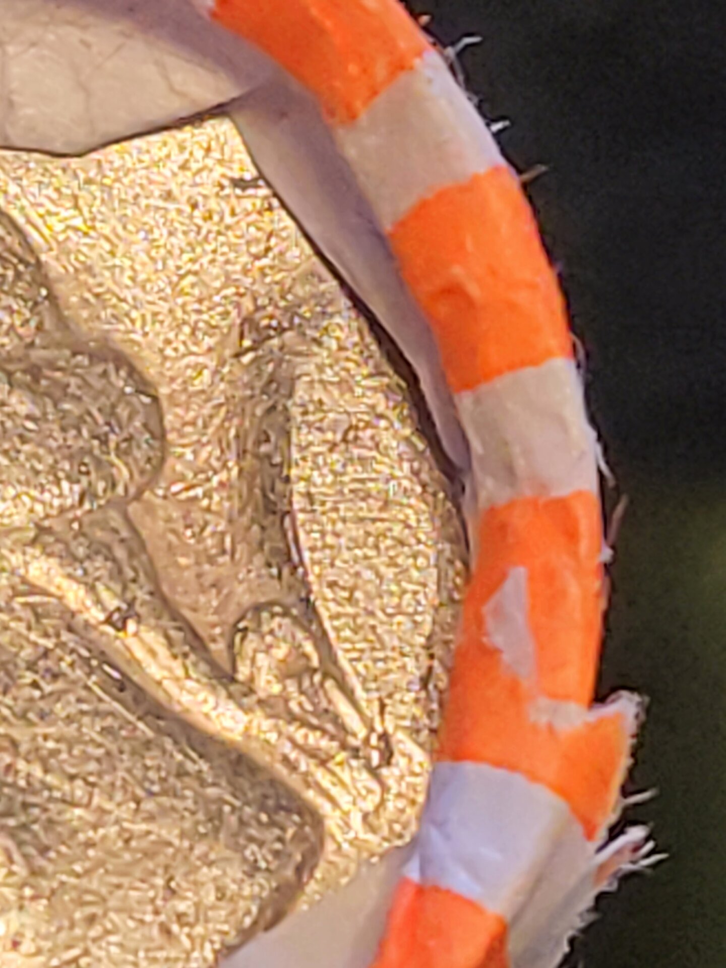 20210310_122327.jpg