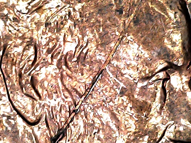 20210325_2136_002_0.000.jpg