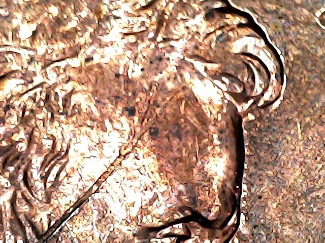 20210325_2137_005_0.000.jpg