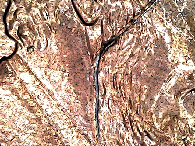 20210325_2137_006_0.000.jpg