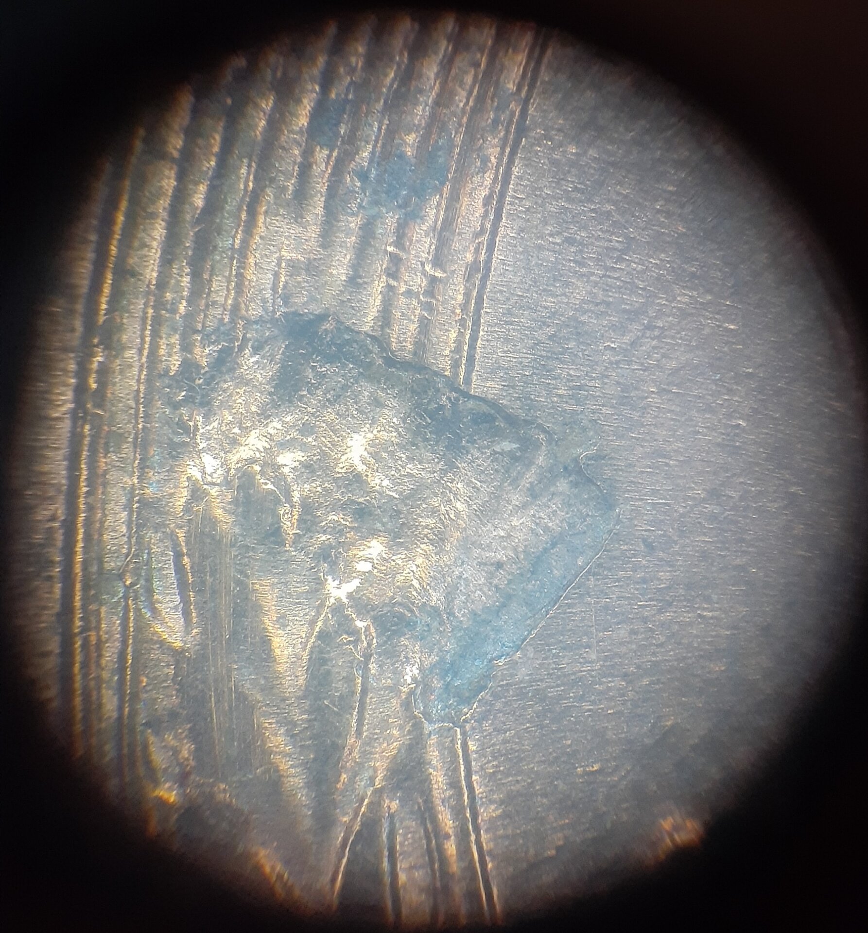 20210330_214604.jpg