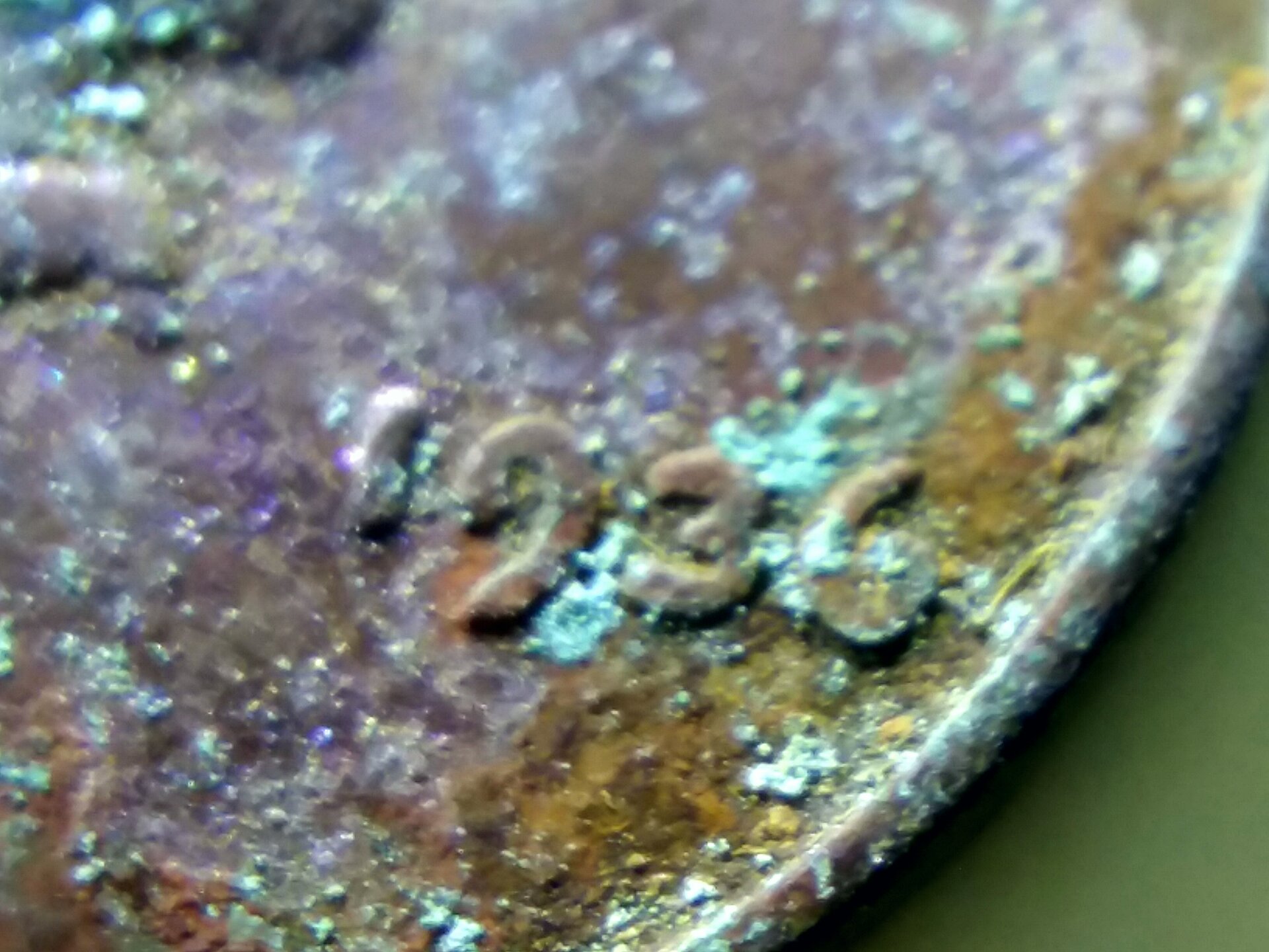 20210405_150143.jpg