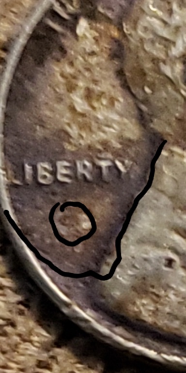 20210409_131919.jpg