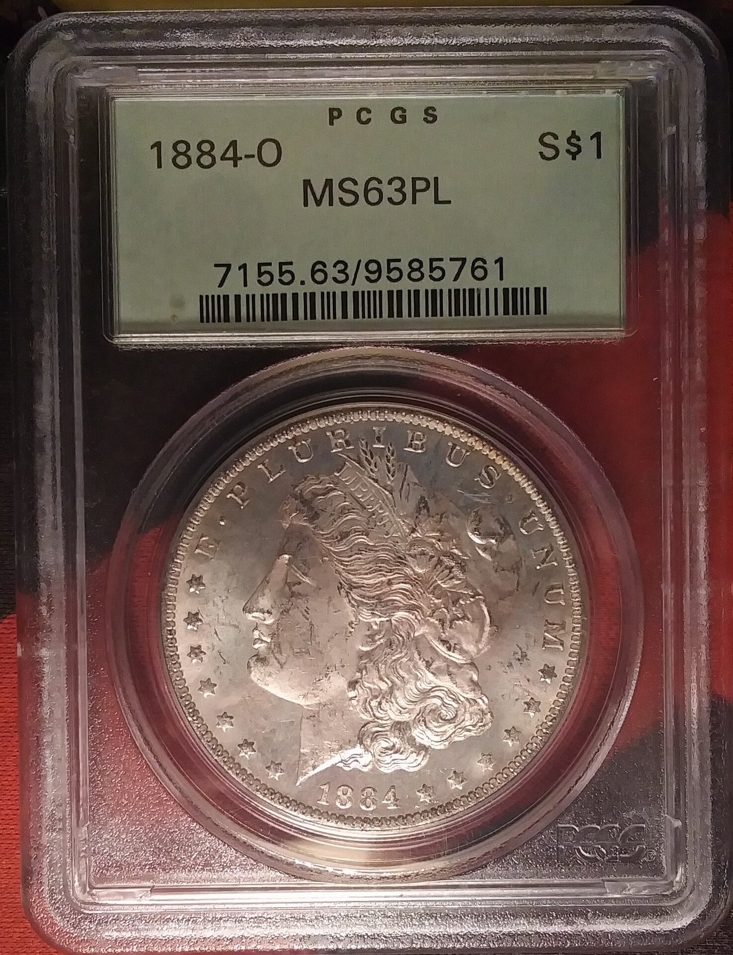 20210413_151049 (2).jpg