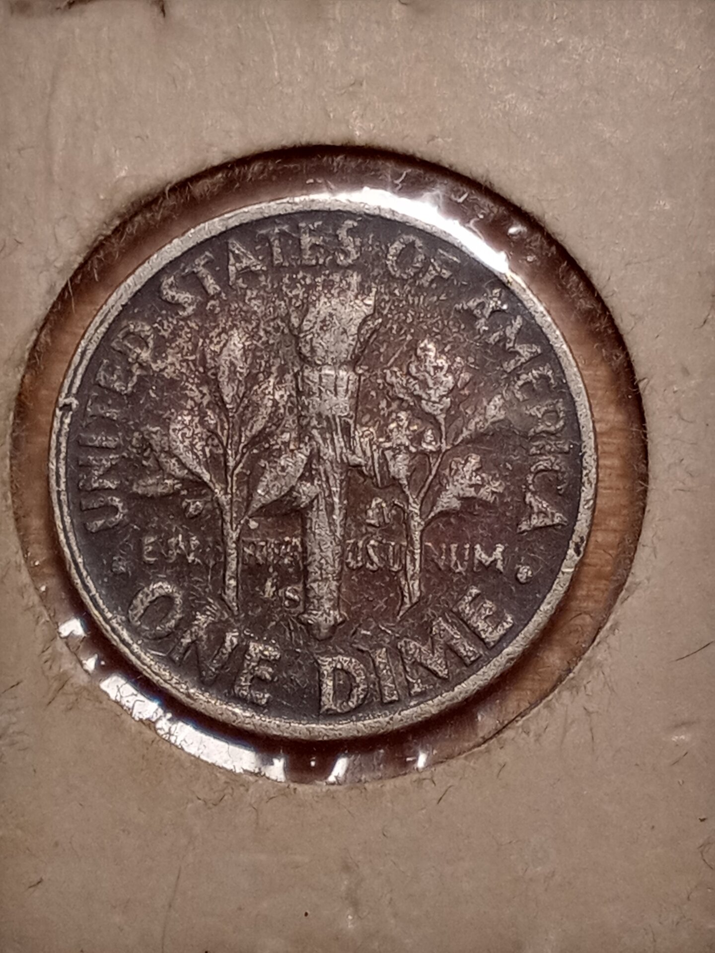20210419_202630.jpg