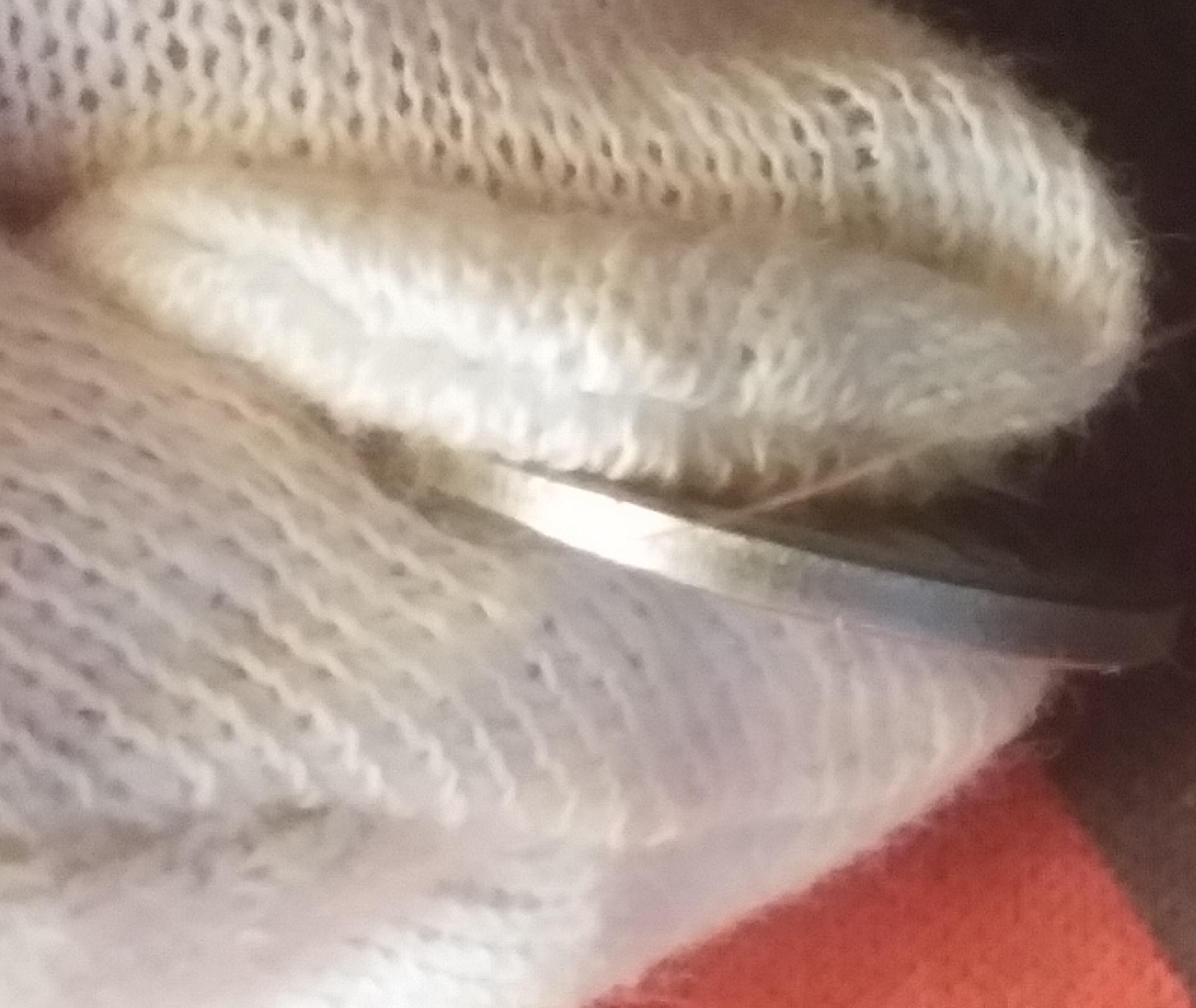 20210421_221518.jpg
