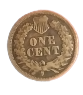 20210508_010558-removebg-preview (3).png