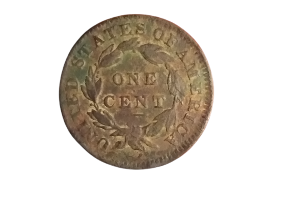 20210508_215327-removebg-preview.png