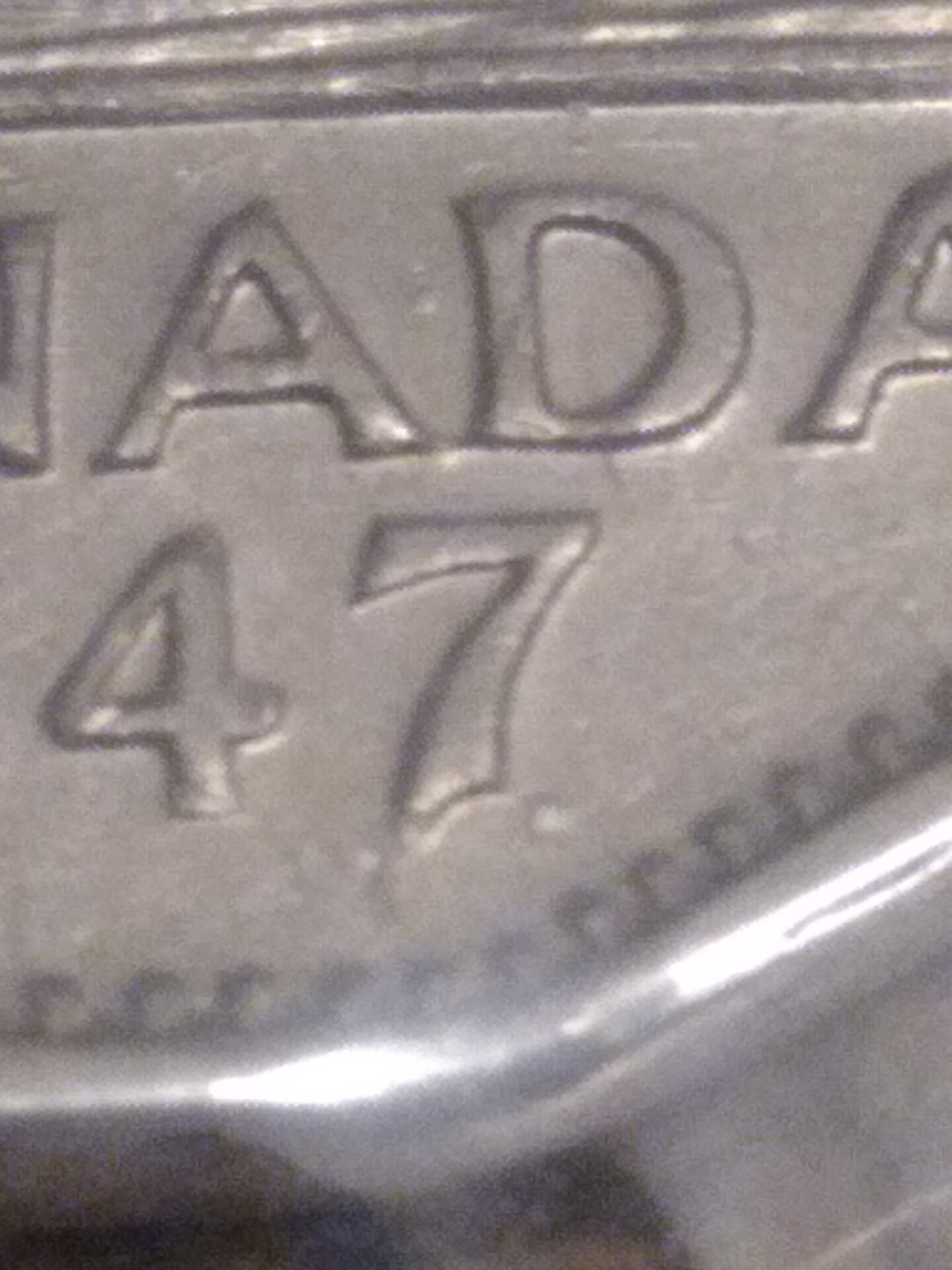 20210603_154953_1.jpg