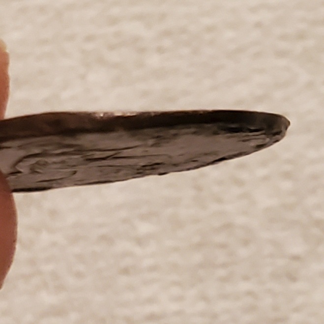20210604_151000.jpg