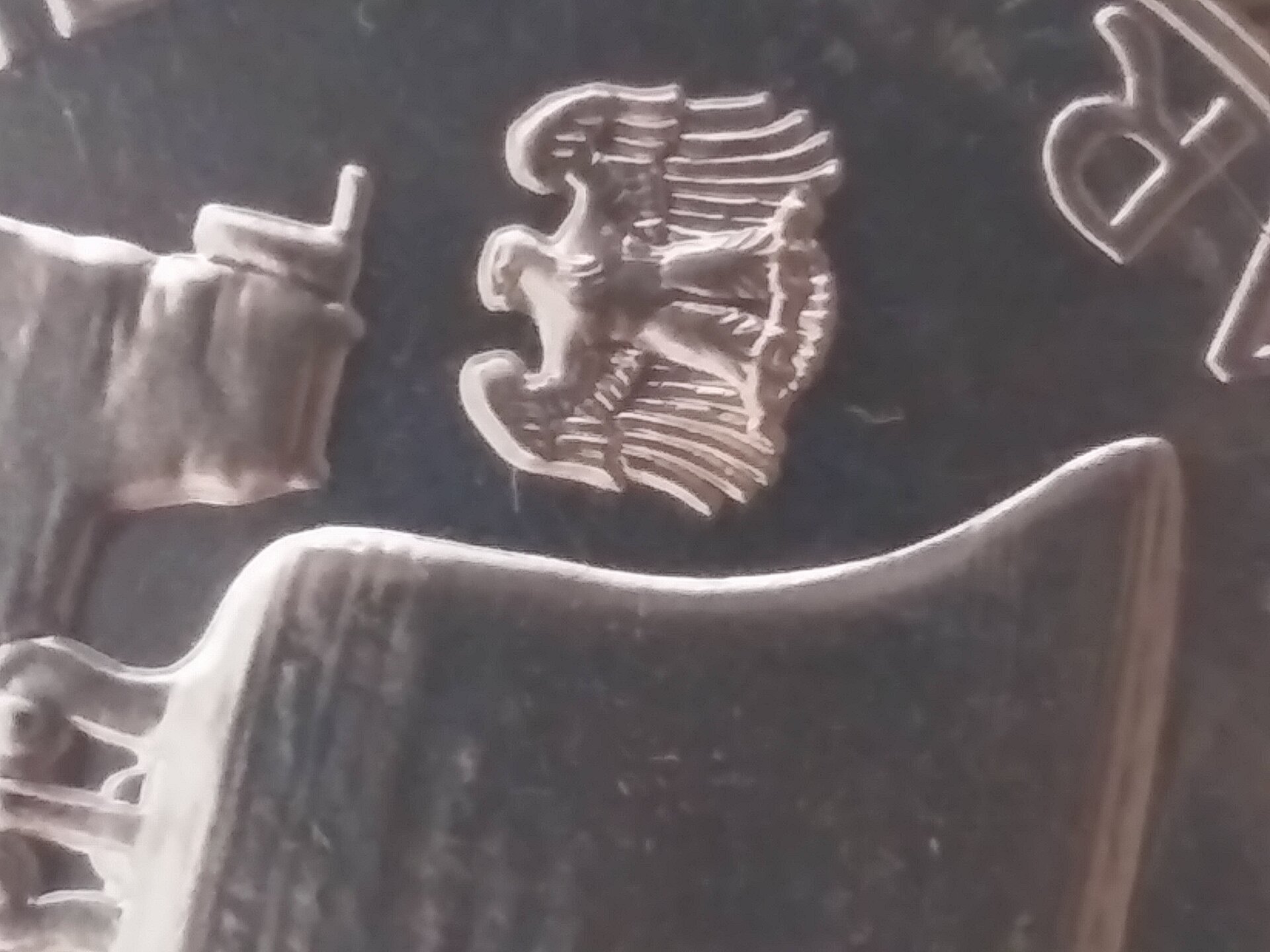 20210608_075601.jpg