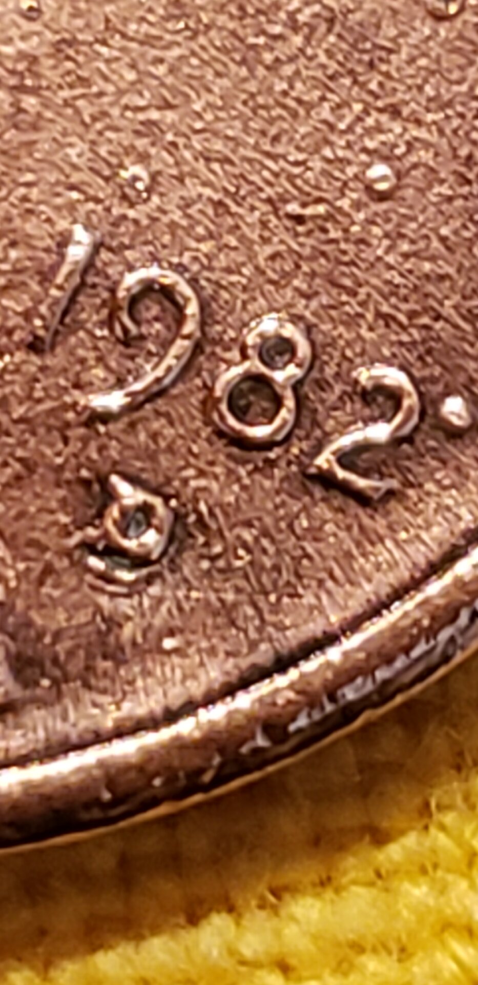 20210625_133702.jpg