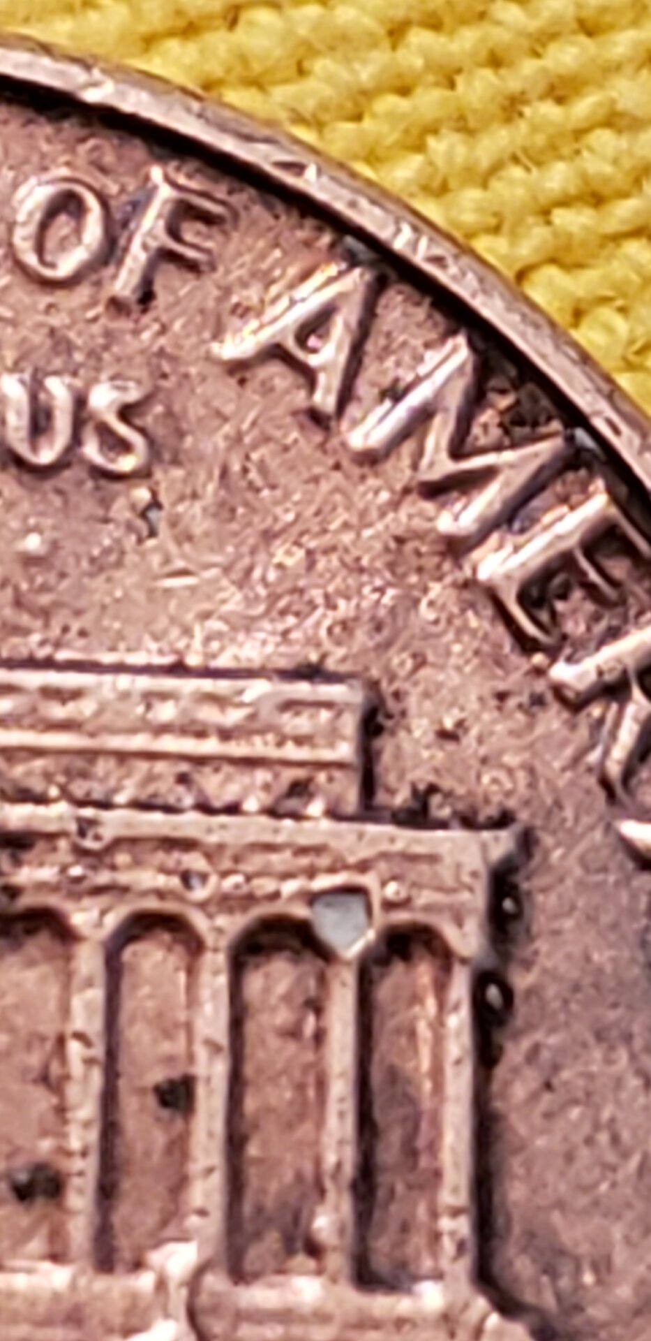 20210625_133815.jpg