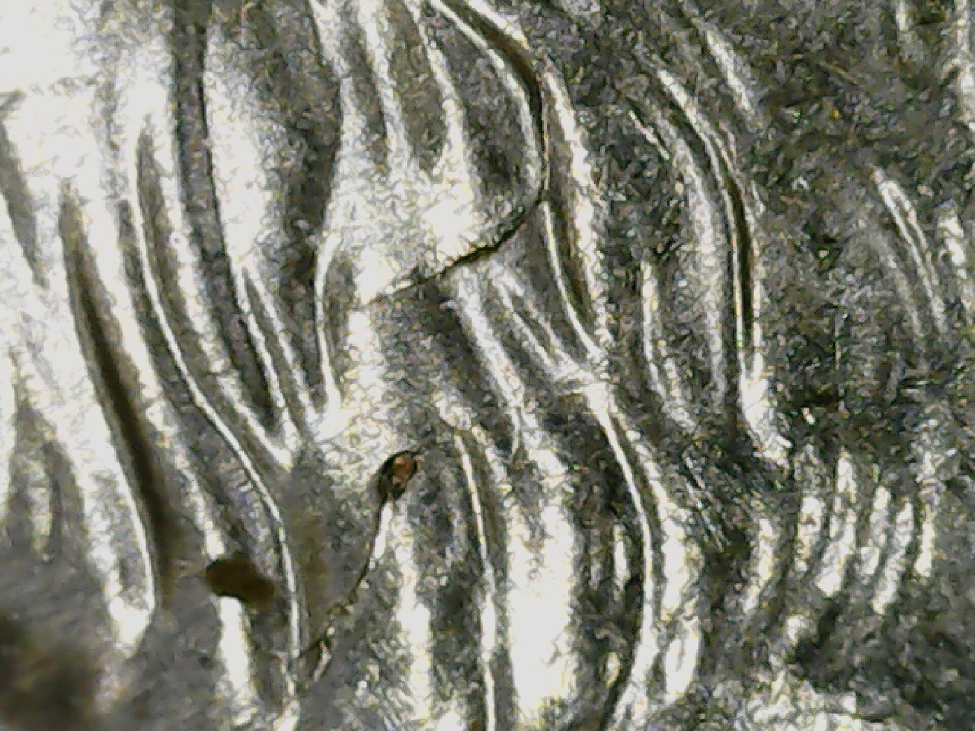 20210702_061905.jpg