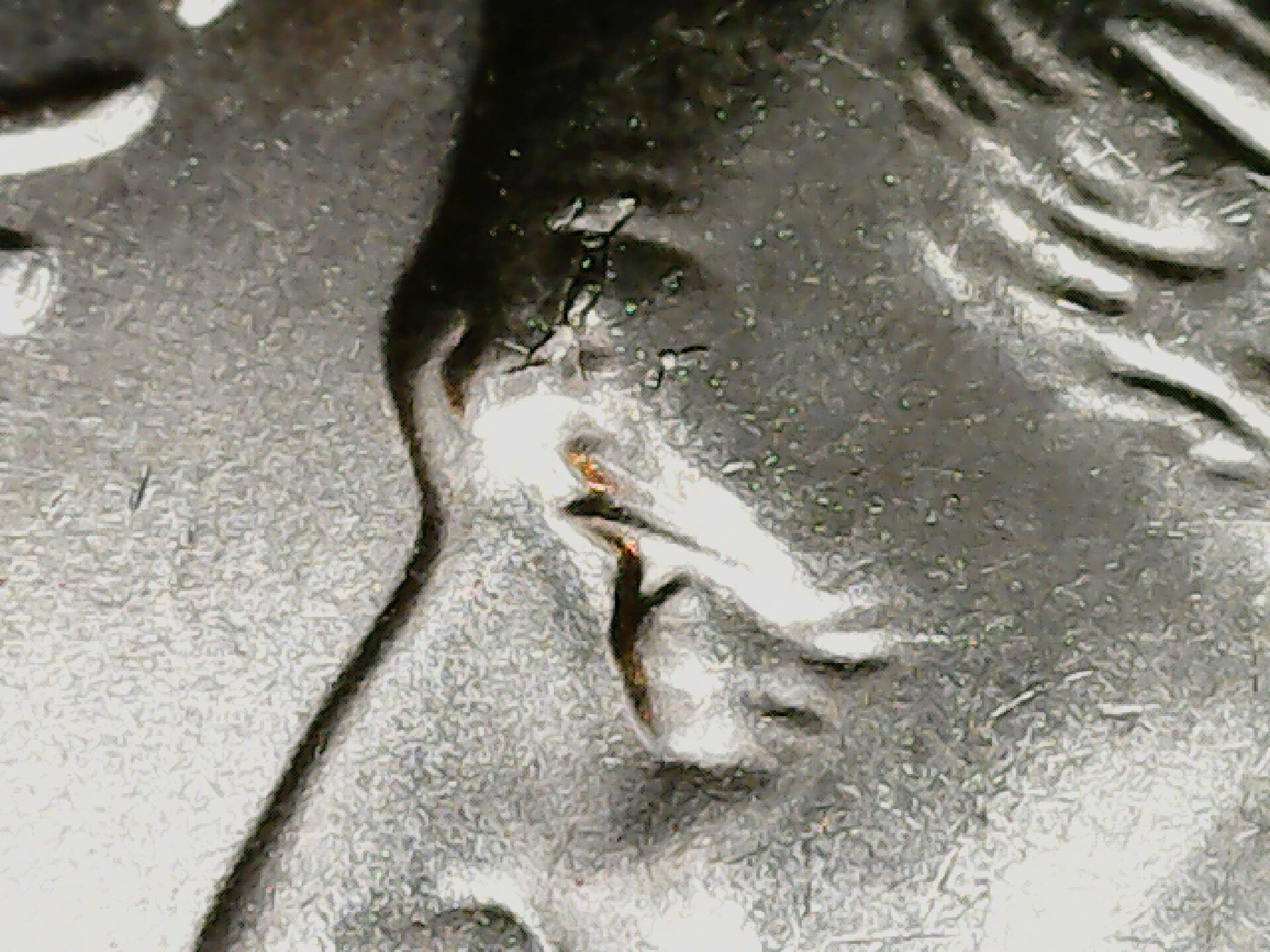 20210702_064423.jpg
