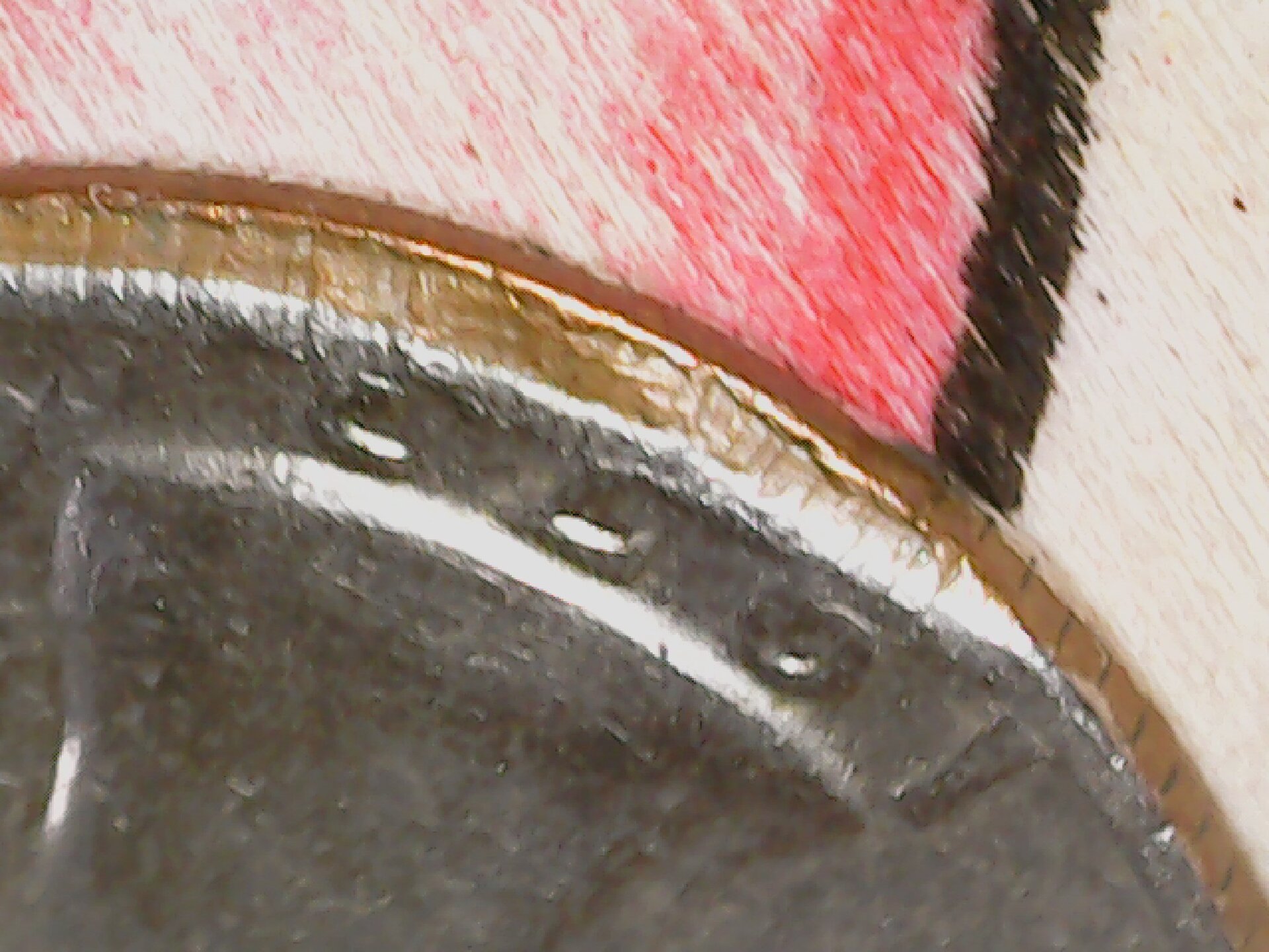 20210703_153129.jpg