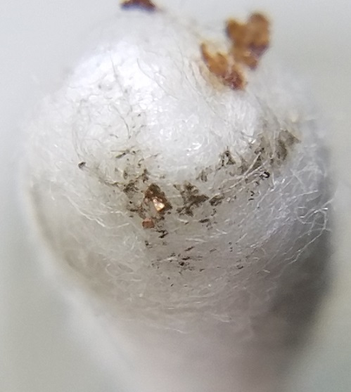 20210718_205234.jpg