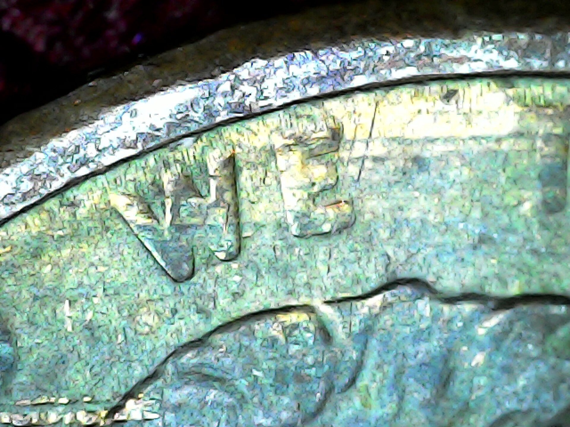 20210730_145007.jpg
