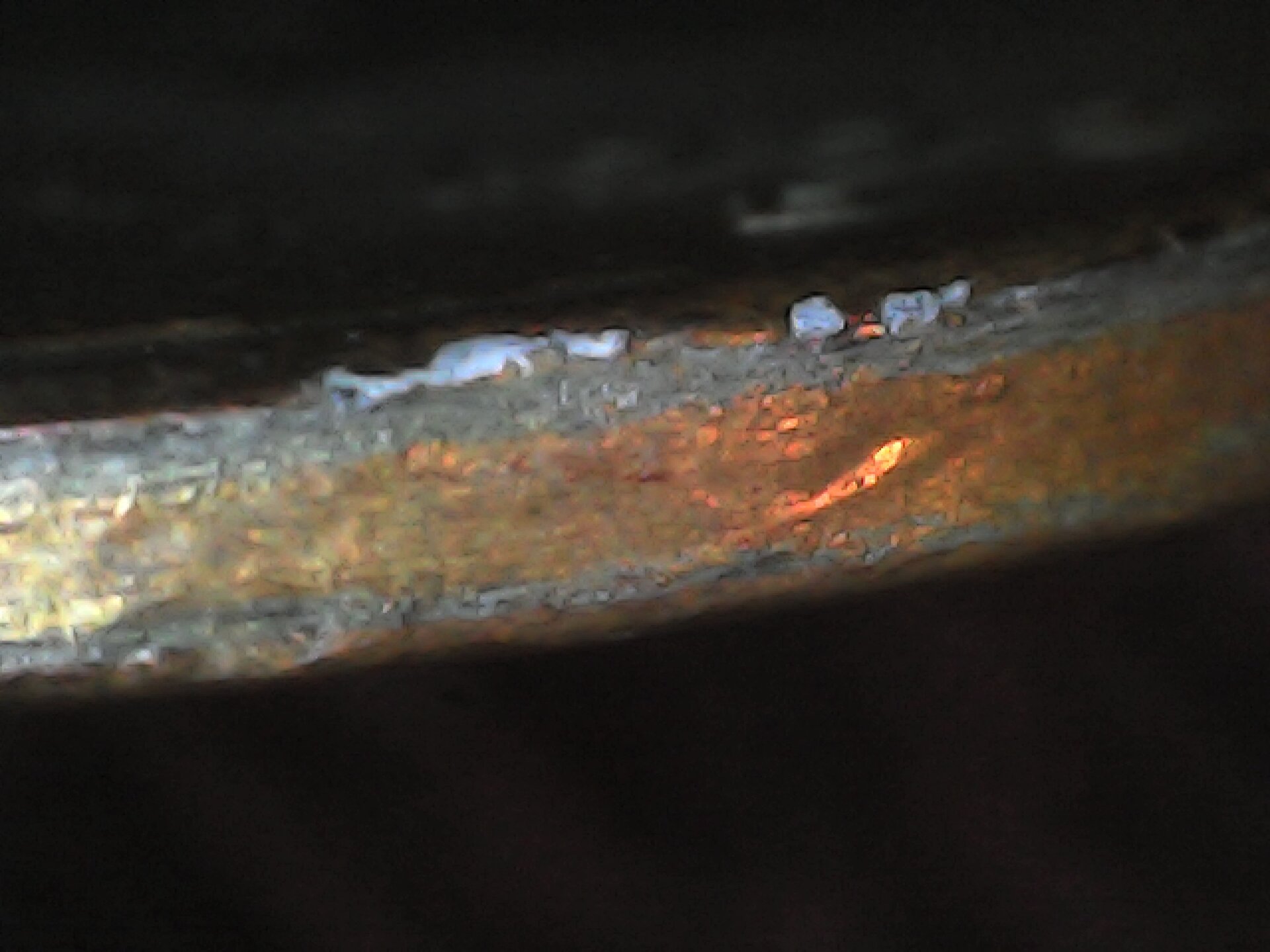 20210730_145234.jpg