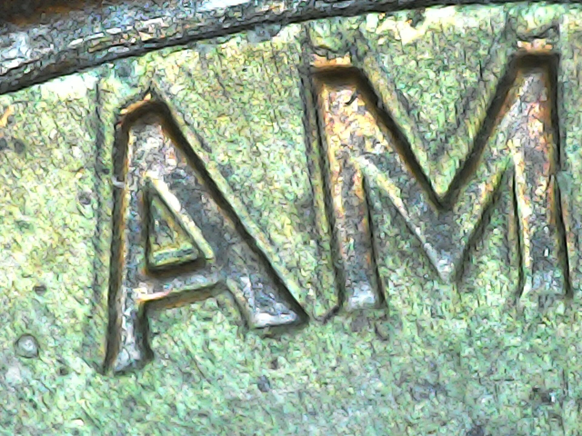 20210730_150750.jpg