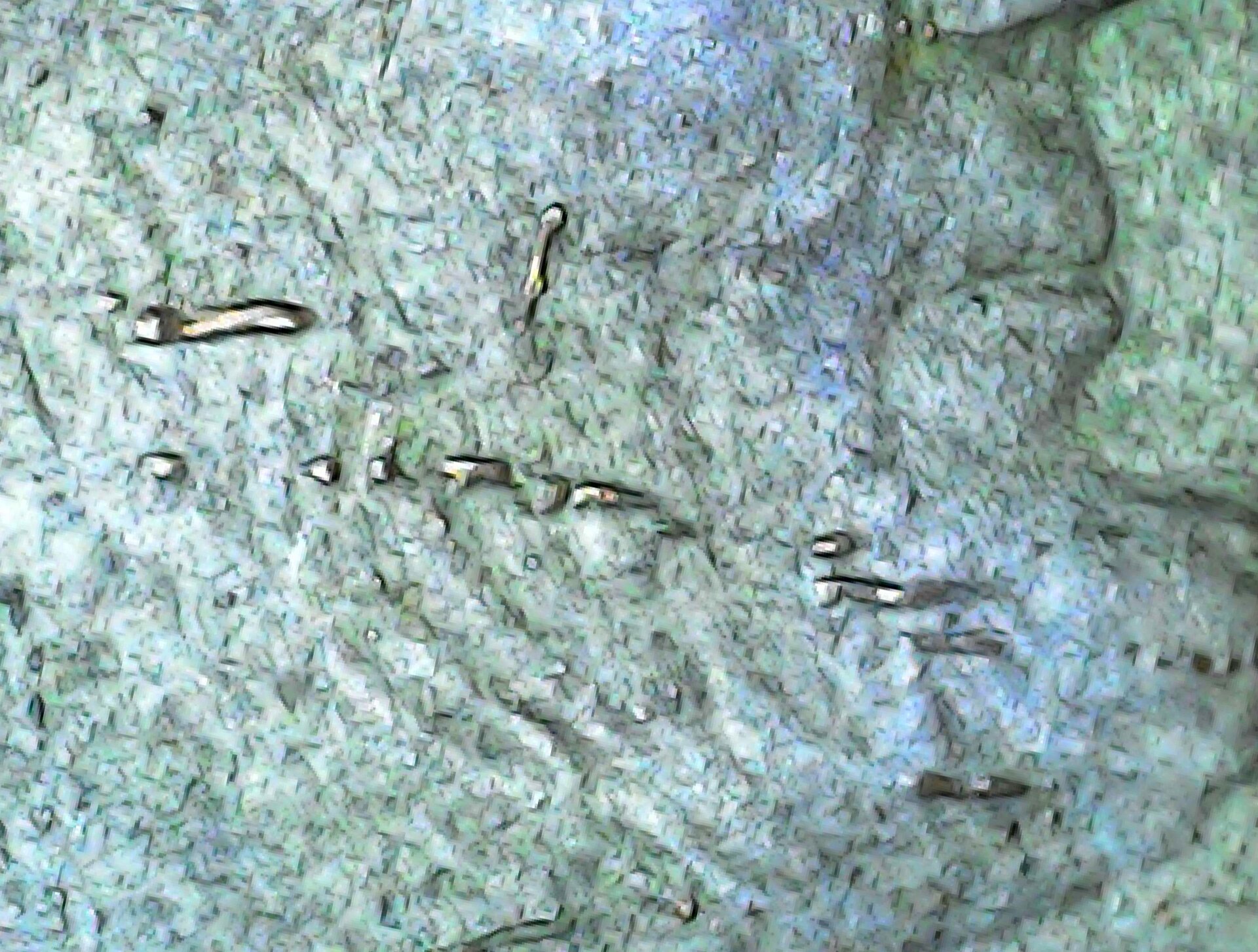 20210731_192716.jpg