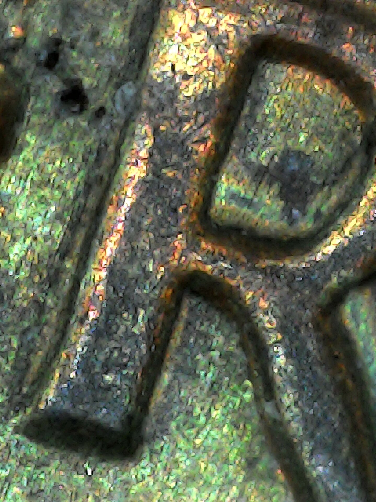 20210731_193940.jpg