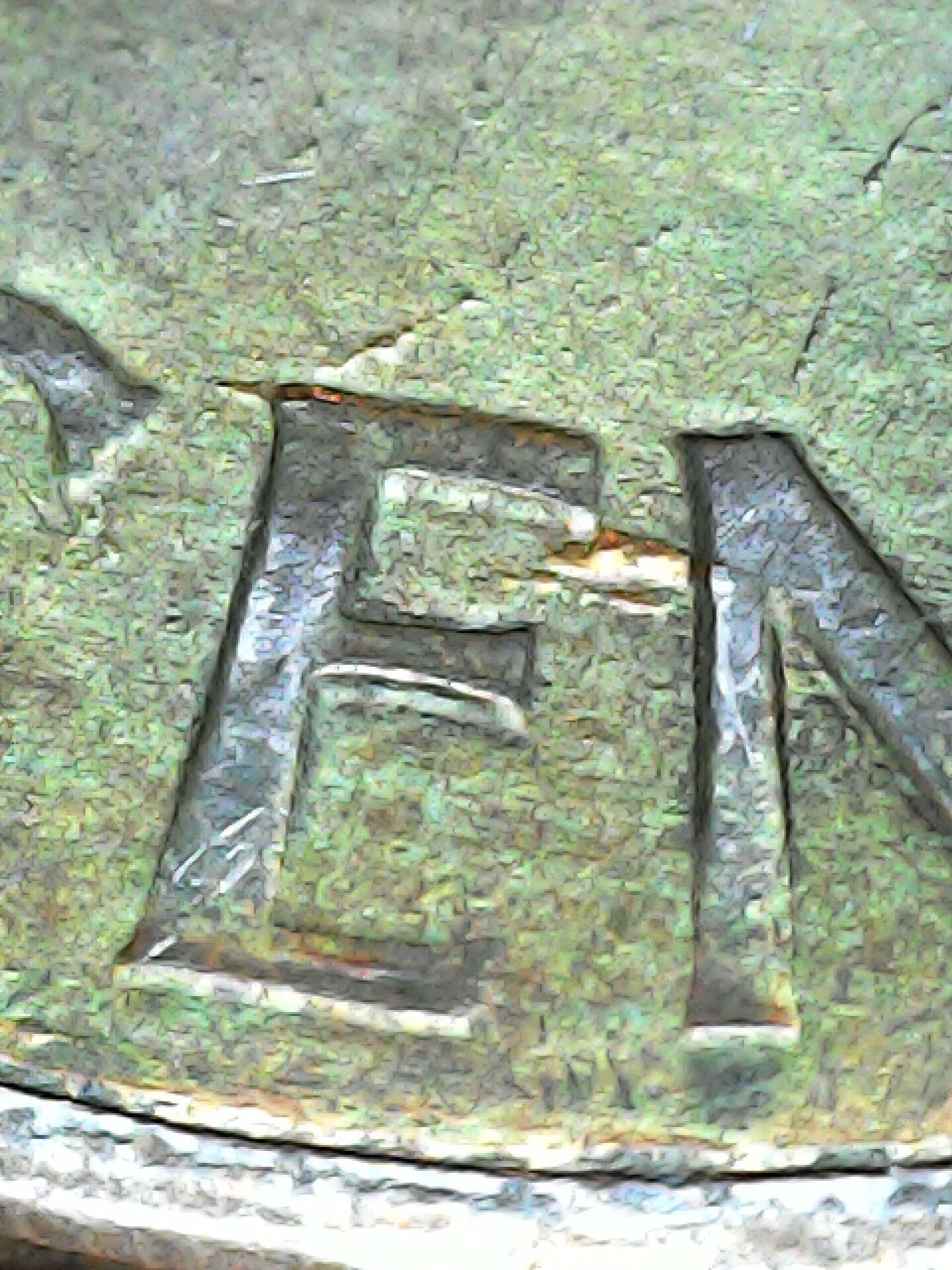 20210731_194259.jpg