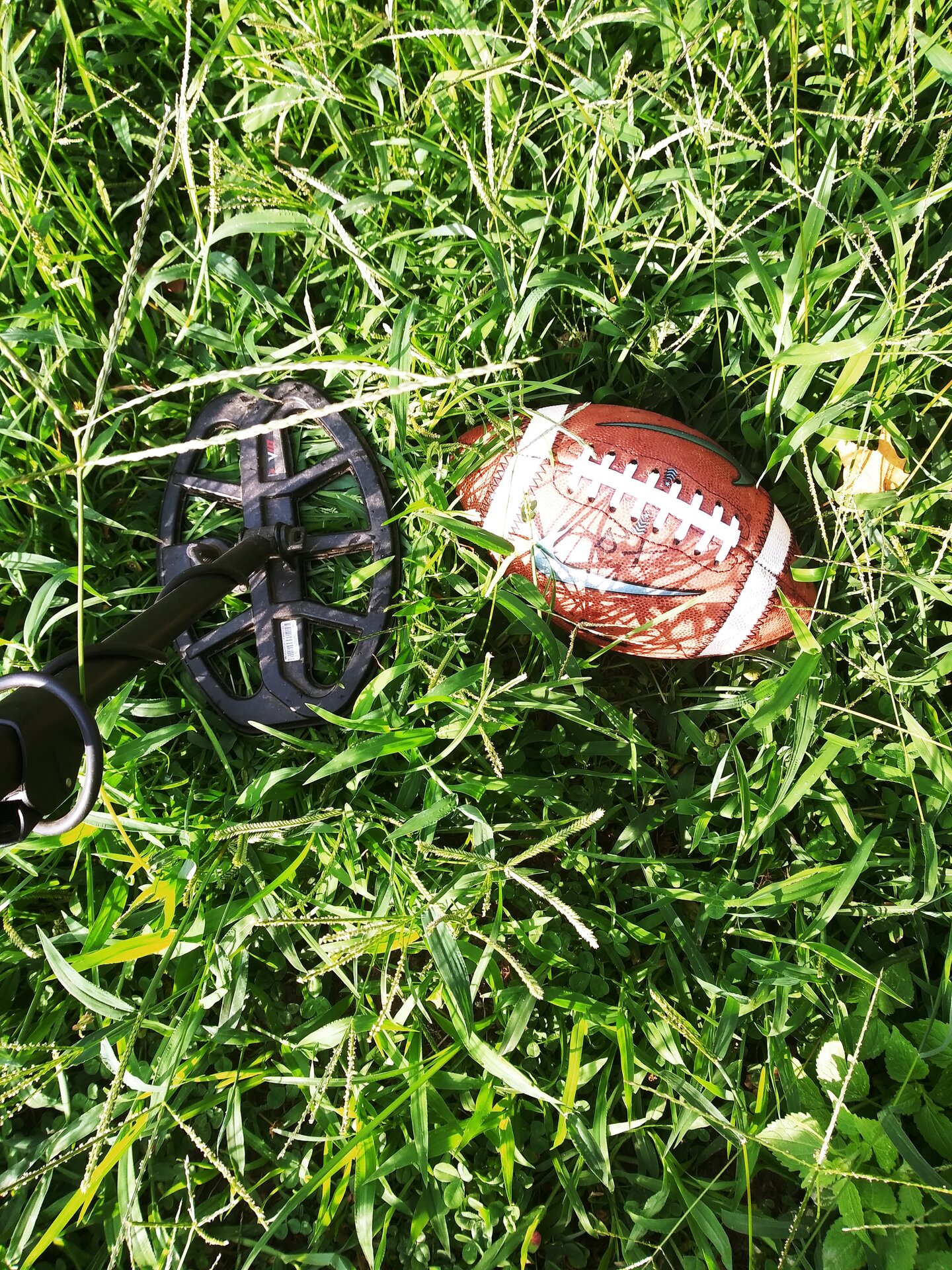 20210815_074608.jpg