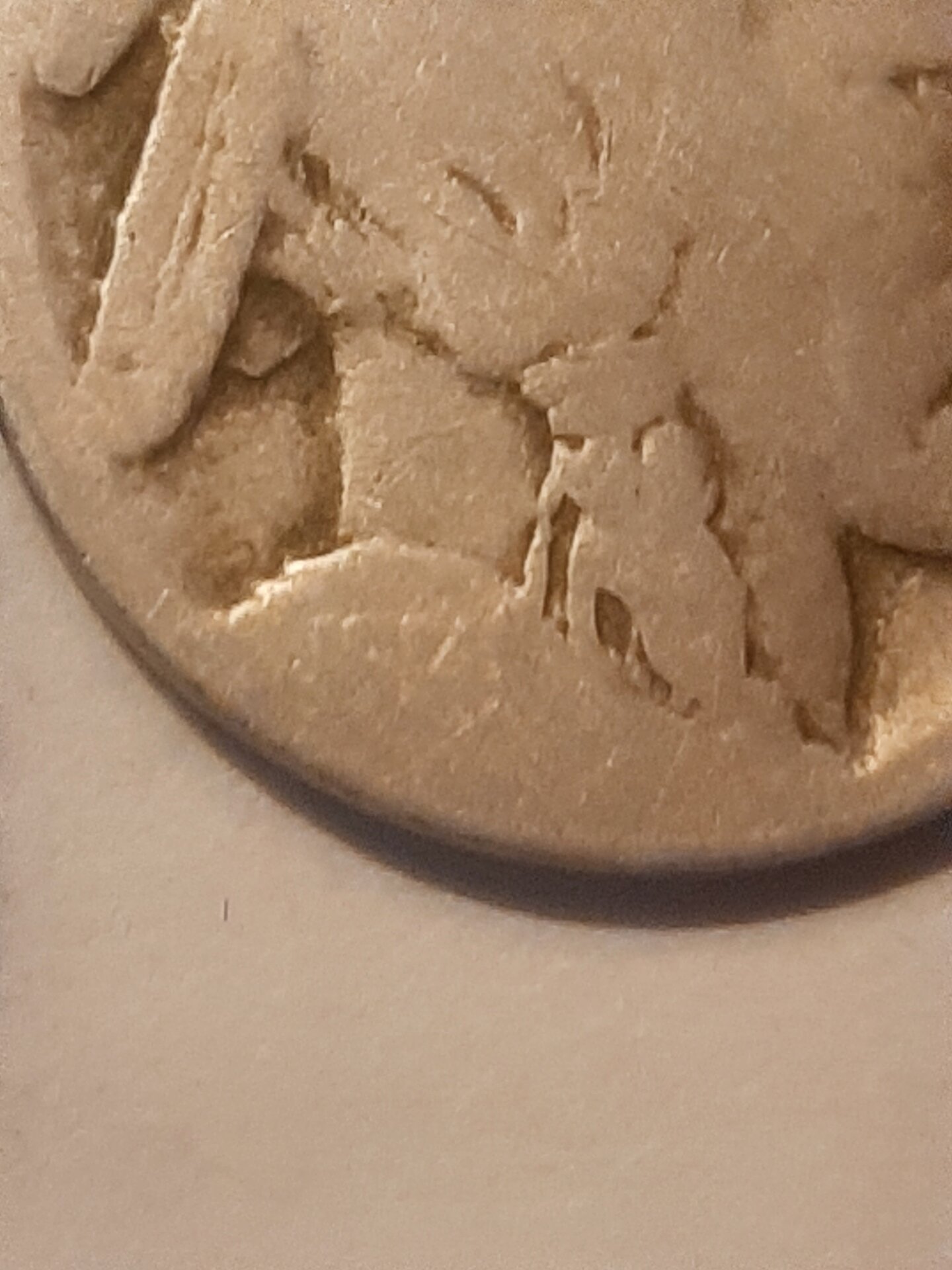 20210820_165351.jpg