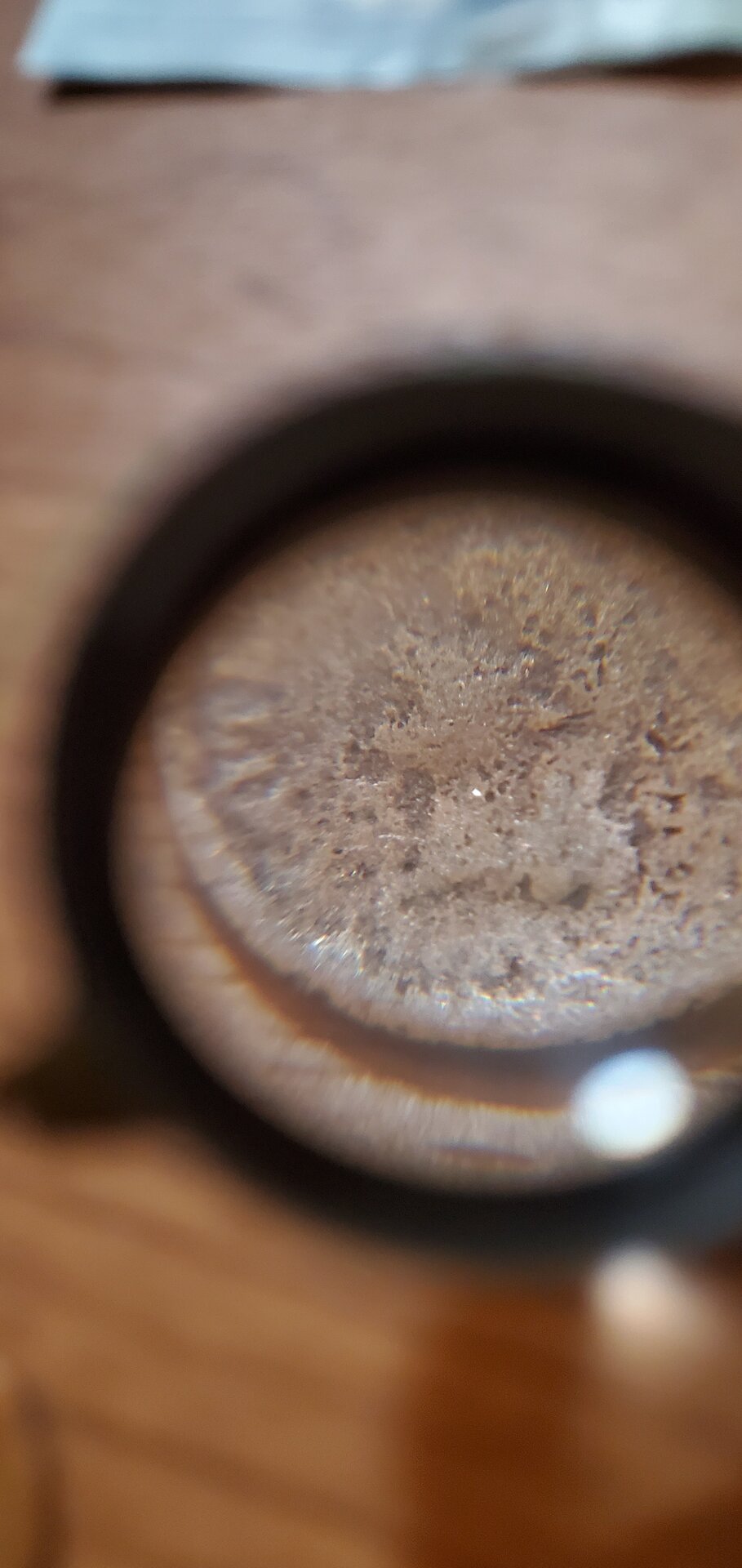 20210825_090401.jpg