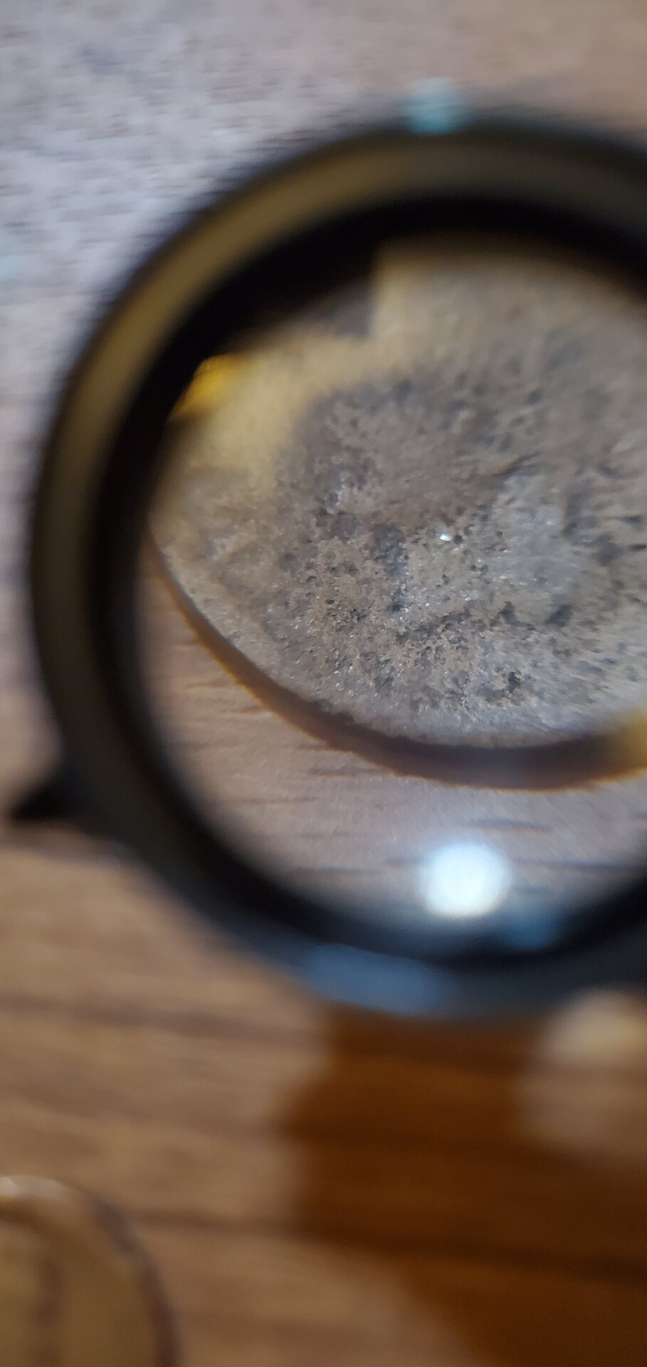 20210825_090425.jpg