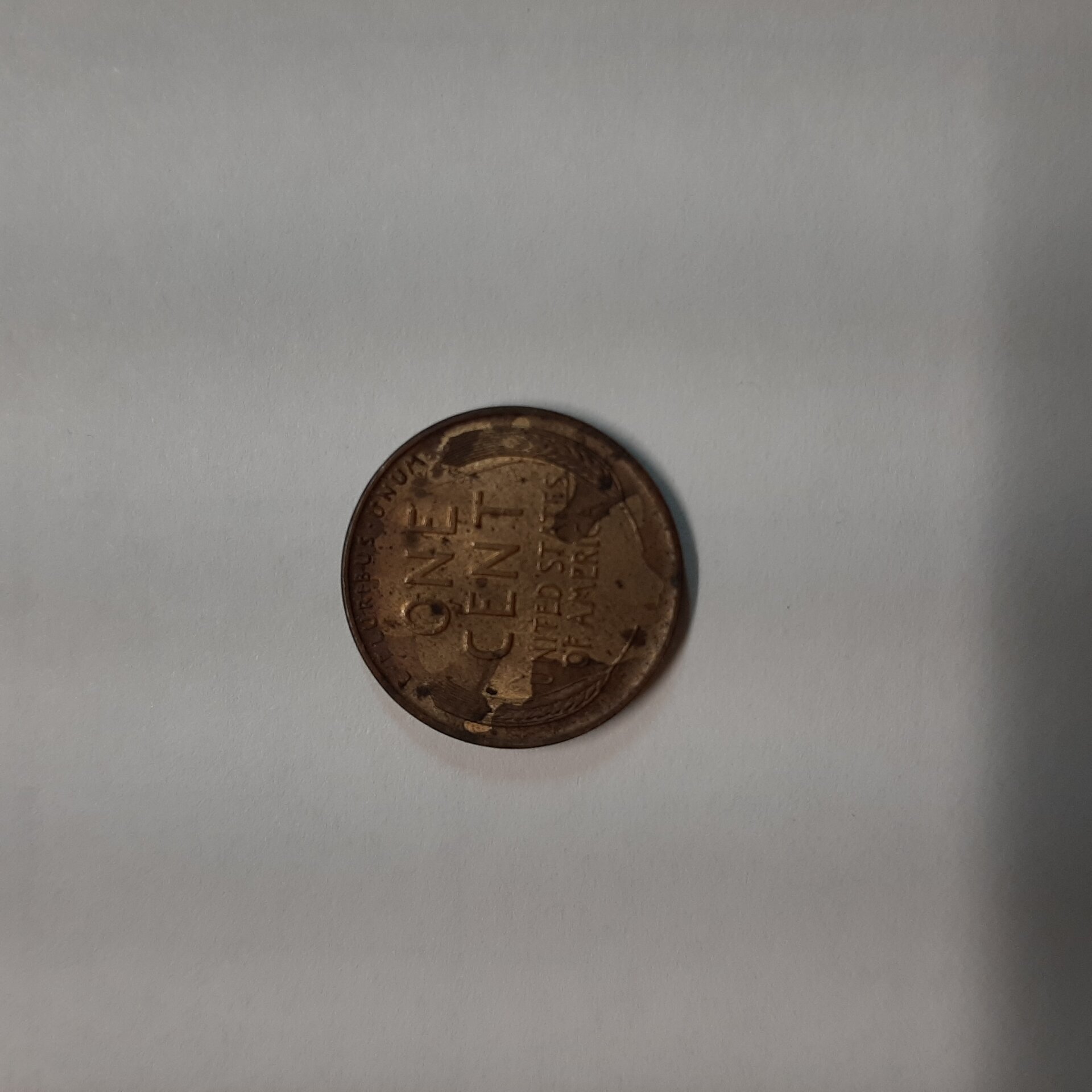 20210829_193152[1].jpg