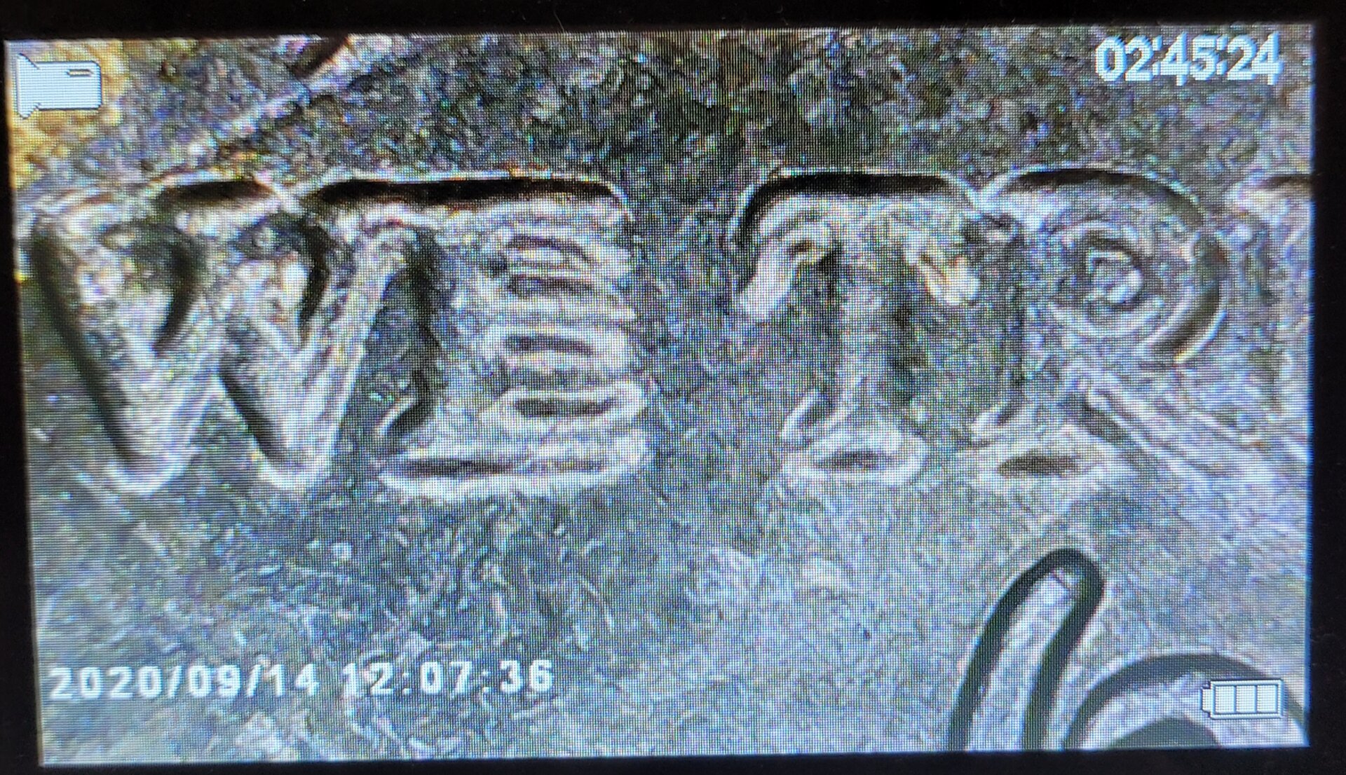 20210917_140604.jpg